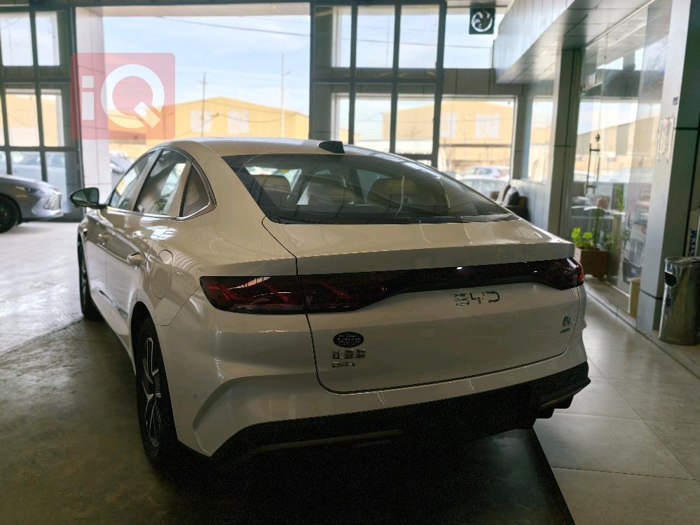 بي واي دي كوين L DM-i